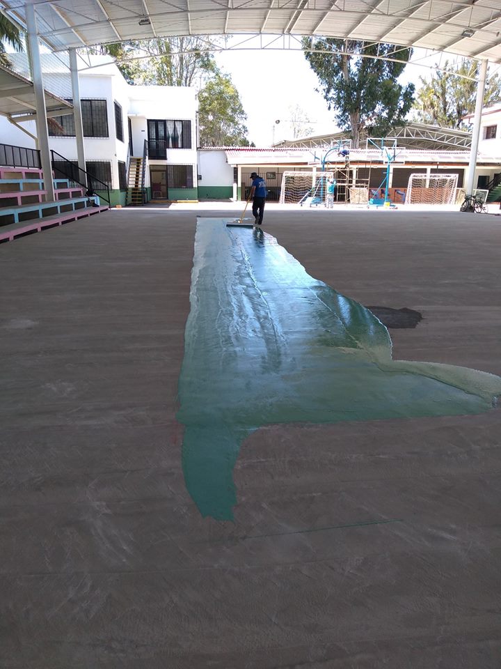 48235365 518599488645656 6499387654700793856 n